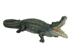Крокодил малый