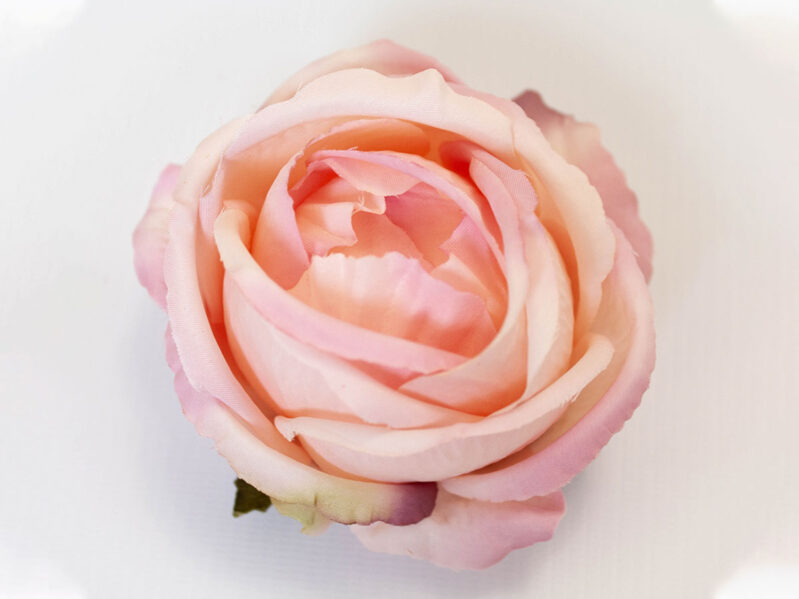 Насадка розы "Бутоньерка"