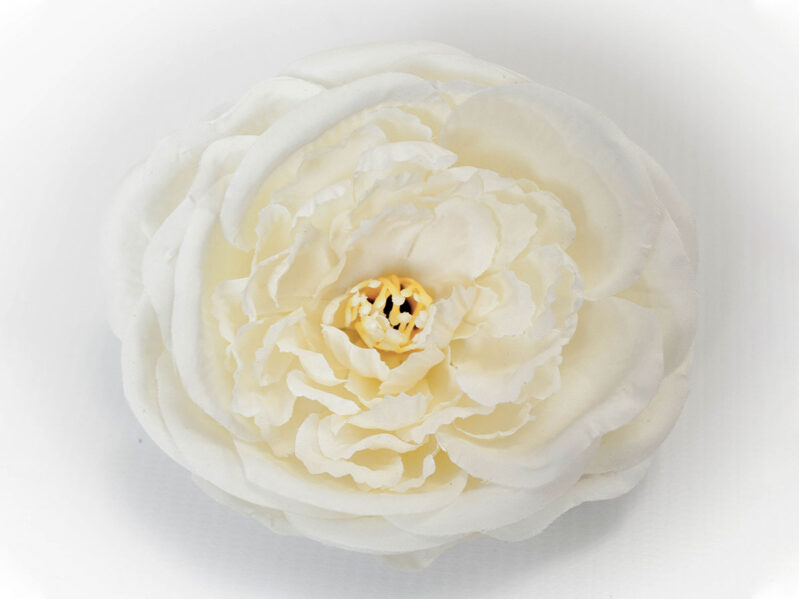 Насадка розы "Галлика"